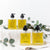 Body Oil - Lavender - Gift & Gather