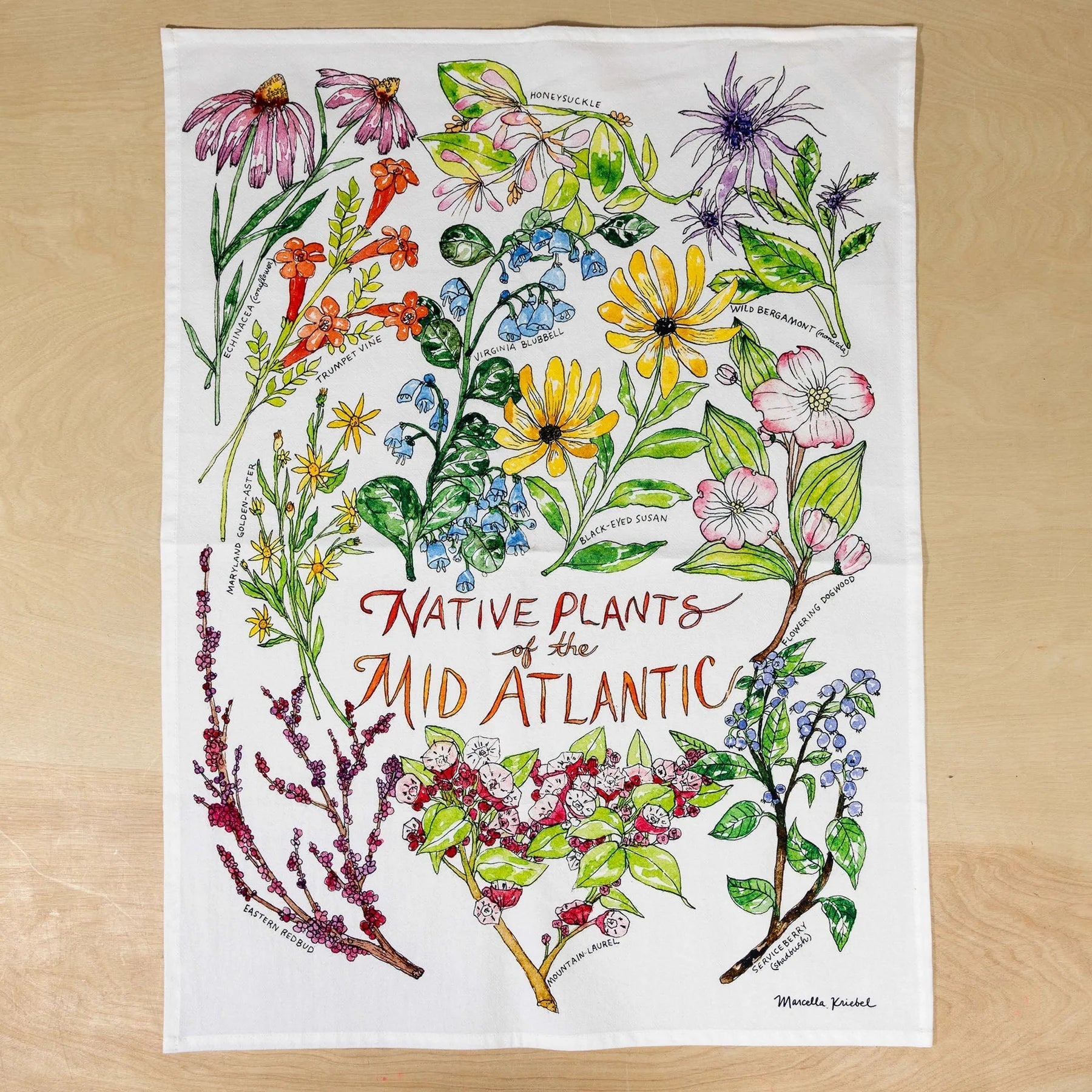 Kitchen Towel - Native Plants of the Mid - Atlantic - Gift & Gather