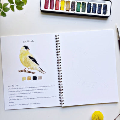 Watercolor Workbook - Birds - Gift & Gather