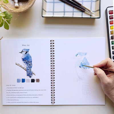 Watercolor Workbook - Birds - Gift & Gather