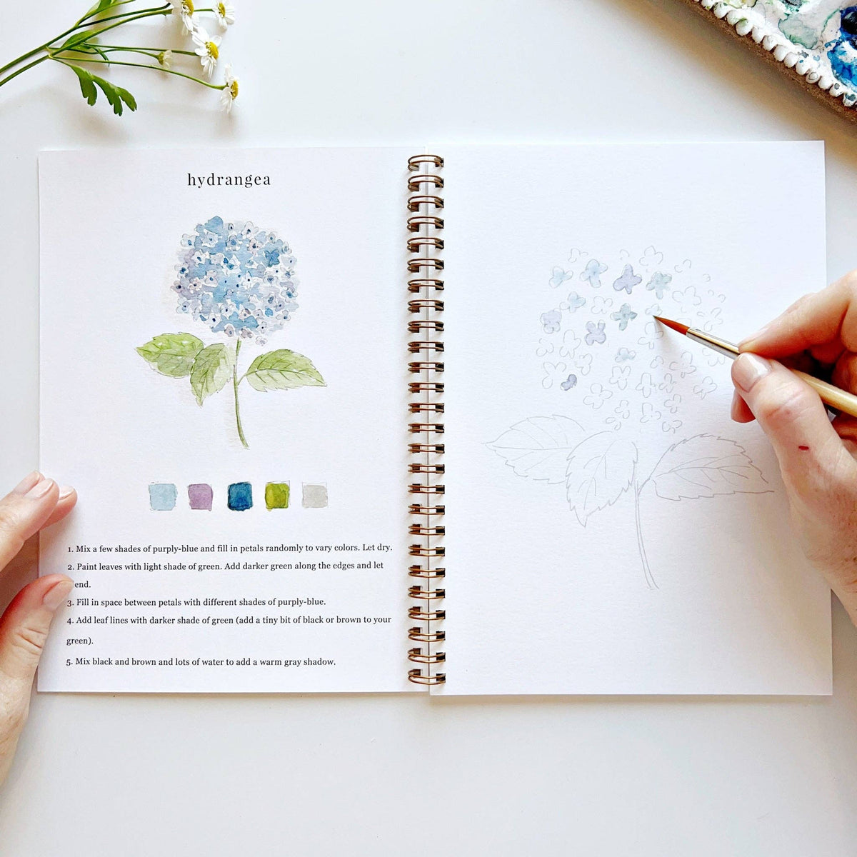 Watercolor Workbook - Flowers - Gift & Gather