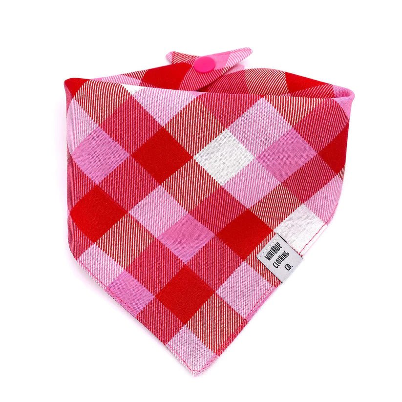 Dog Bandana - Pink Check - Gift & Gather