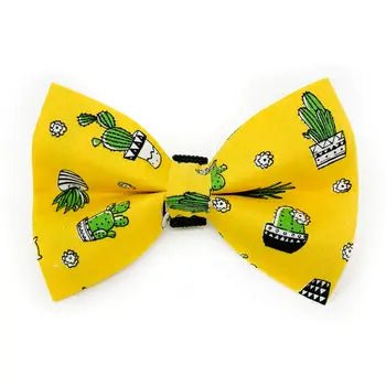 Dog Bow Tie - Cactus - Gift & Gather