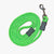 Dog Leash - Lime Green - Gift & Gather