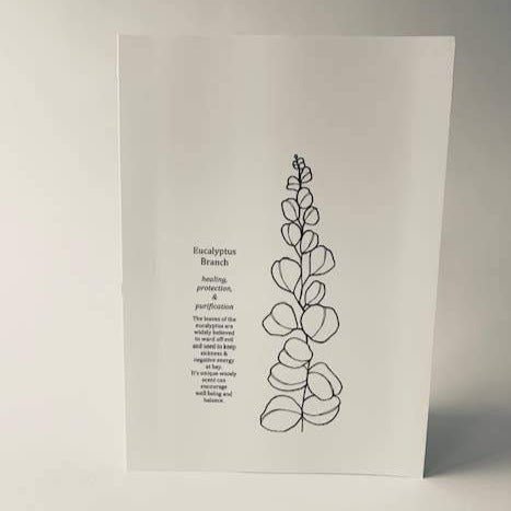 Greeting Card: Eucalyptus - Gift & Gather