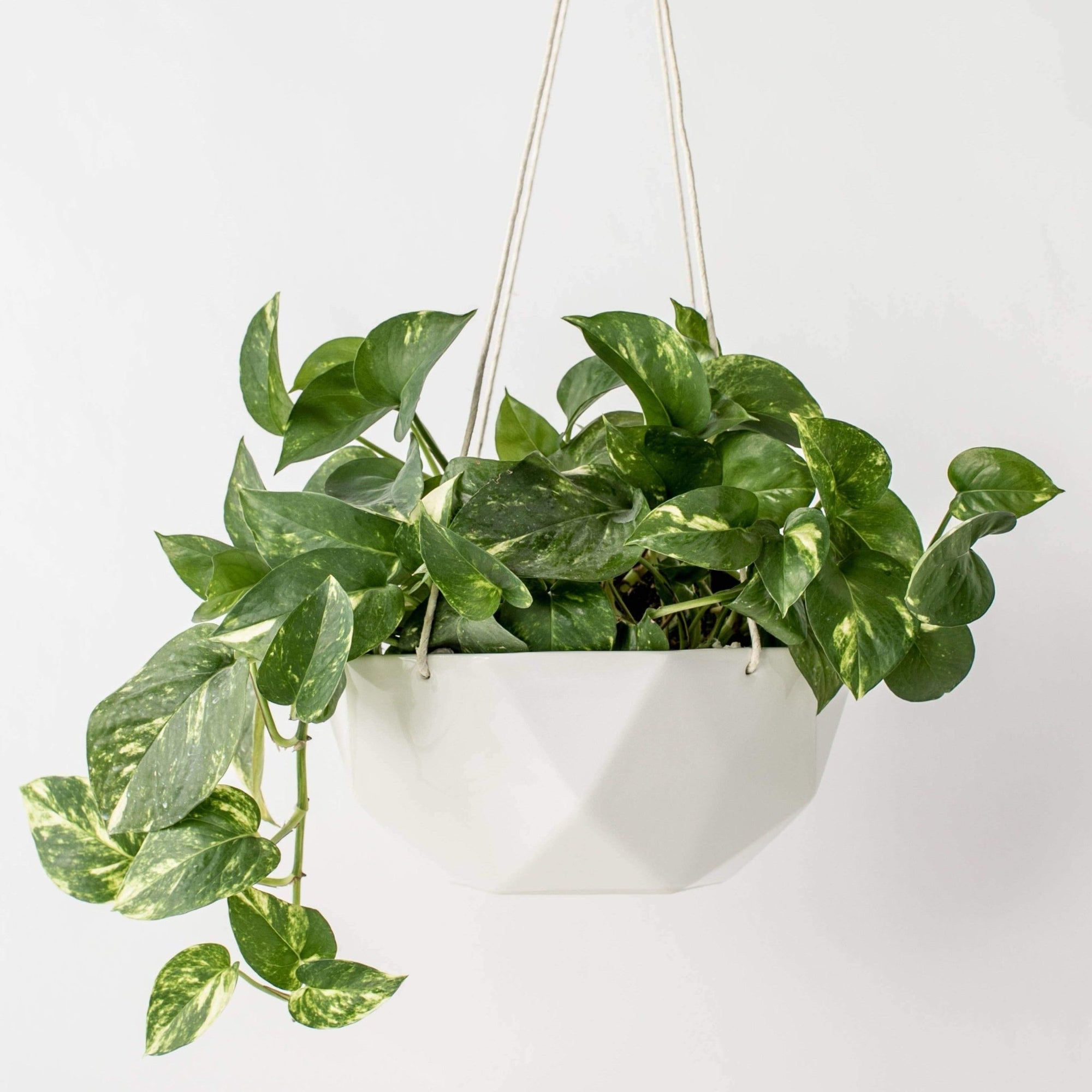 Hanging Planters - Geometric Ceramic - Gift & Gather