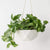 Hanging Planters - Geometric Ceramic - Gift & Gather