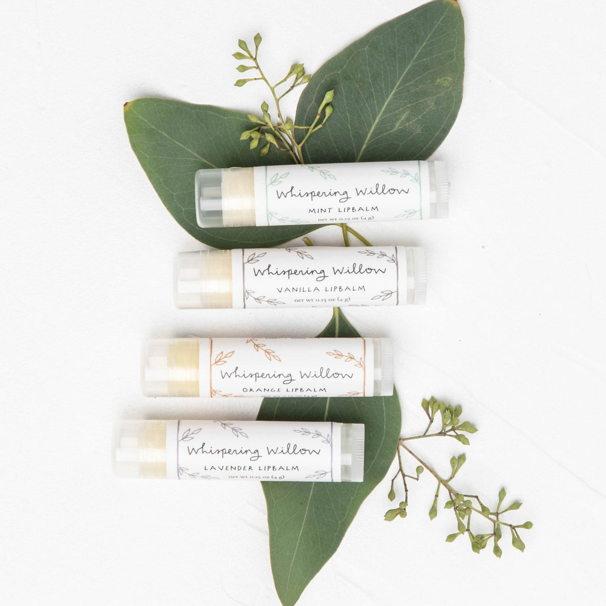 Natural Beeswax Lip Balm - Vanilla - Gift & Gather