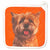 Pot Holder - Norwich Terrier - Gift & Gather