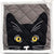 Pot Holder - Yellow Eyes Cat - Gift & Gather