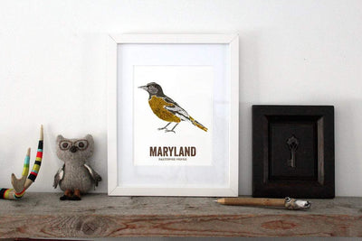 Print - Baltimore Oriole - Gift & Gather