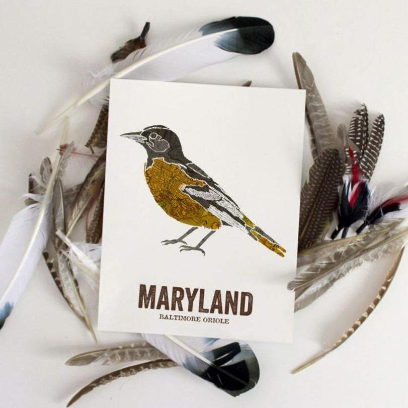 Print - Baltimore Oriole - Gift & Gather