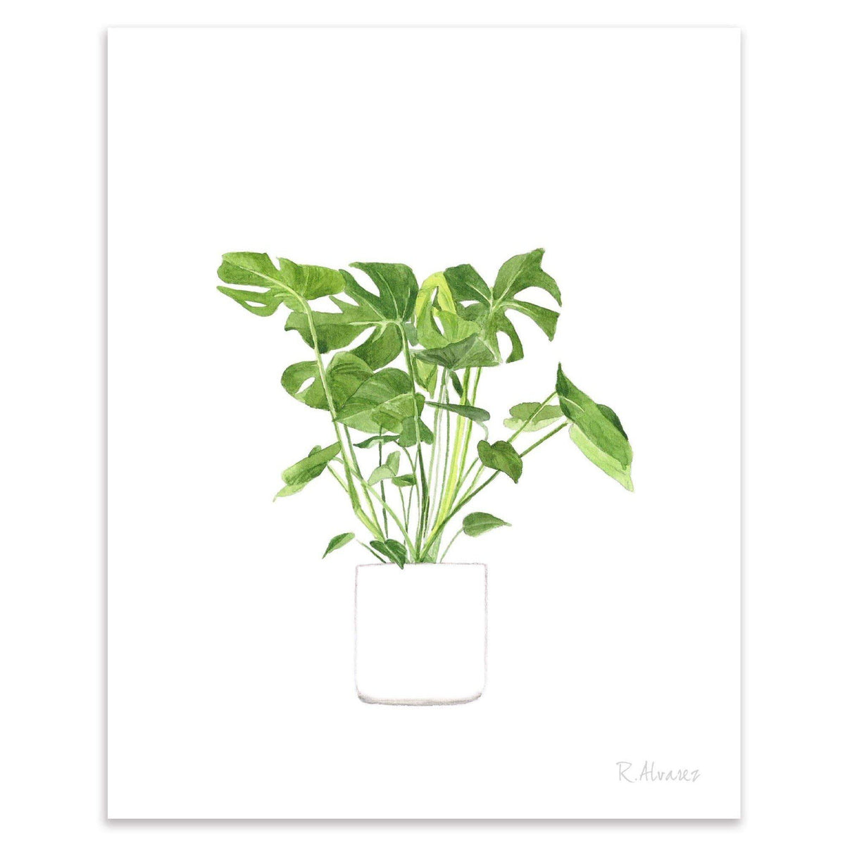 Print - Minimalist Monstera Houseplant - Gift & Gather