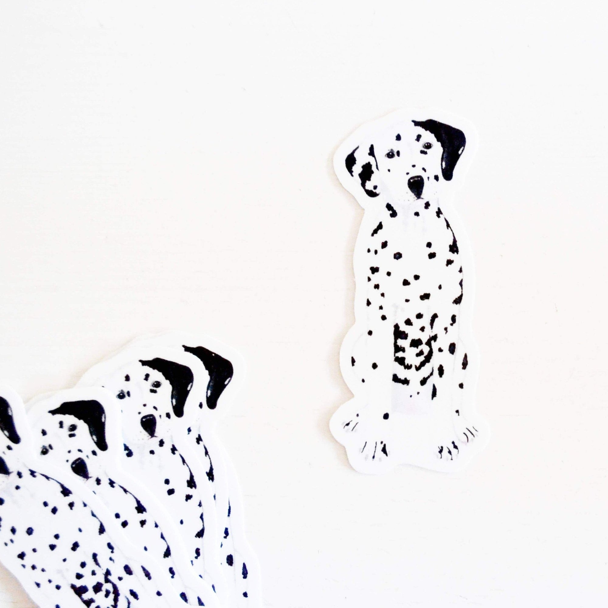 Sticker - Dalmatian - Gift & Gather