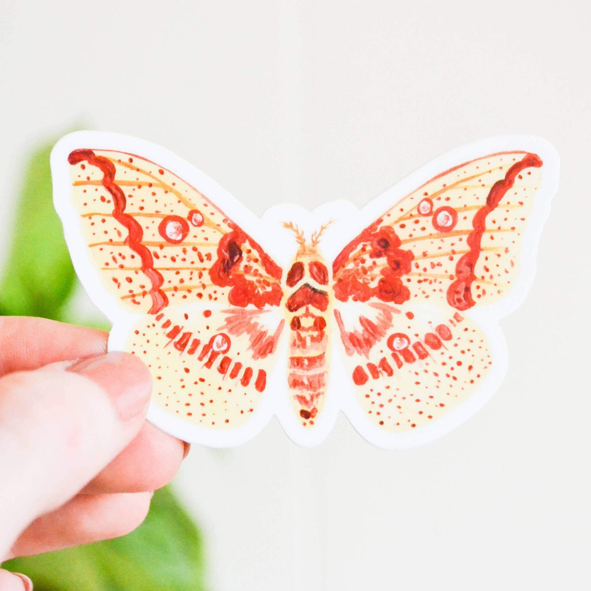 Sticker - Imperial Moth - Gift & Gather