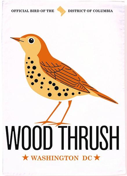 Tea Towel - Wood Thrush - Gift & Gather